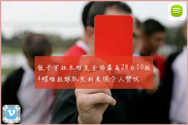 张子宇独木难支全场最高28分10板4帽难救球队失利表现令人赞叹