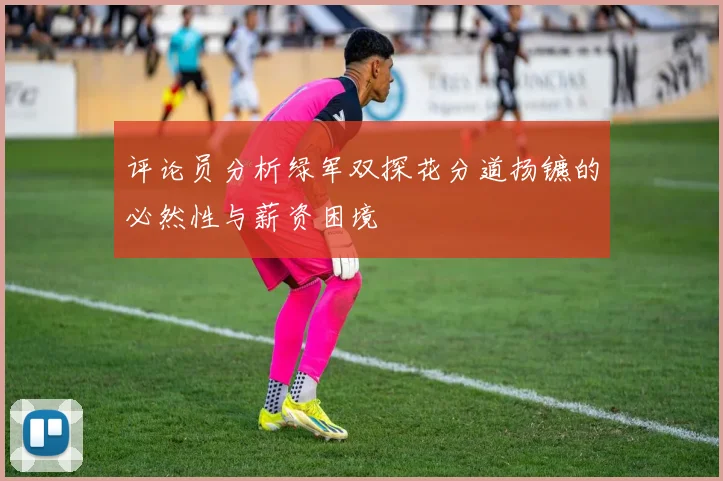 评论员分析绿军双探花分道扬镳的必然性与薪资困境