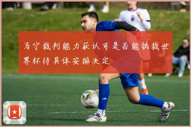 马宁裁判能力获认可是否能执裁世界杯待具体安排决定