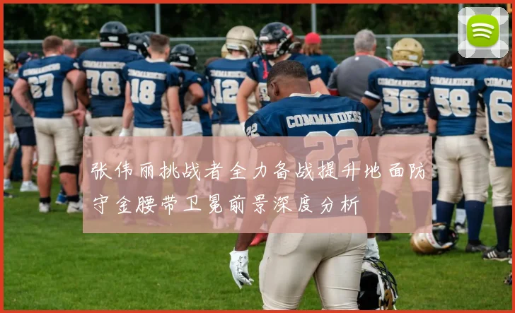 张伟丽挑战者全力备战提升地面防守金腰带卫冕前景深度分析