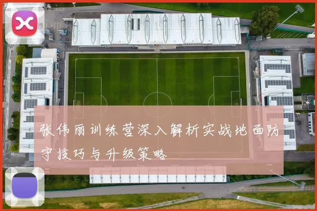 张伟丽训练营深入解析实战地面防守技巧与升级策略