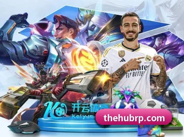 aoa网页版入口 APP